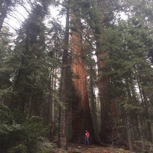 Meet your Posher, Cody